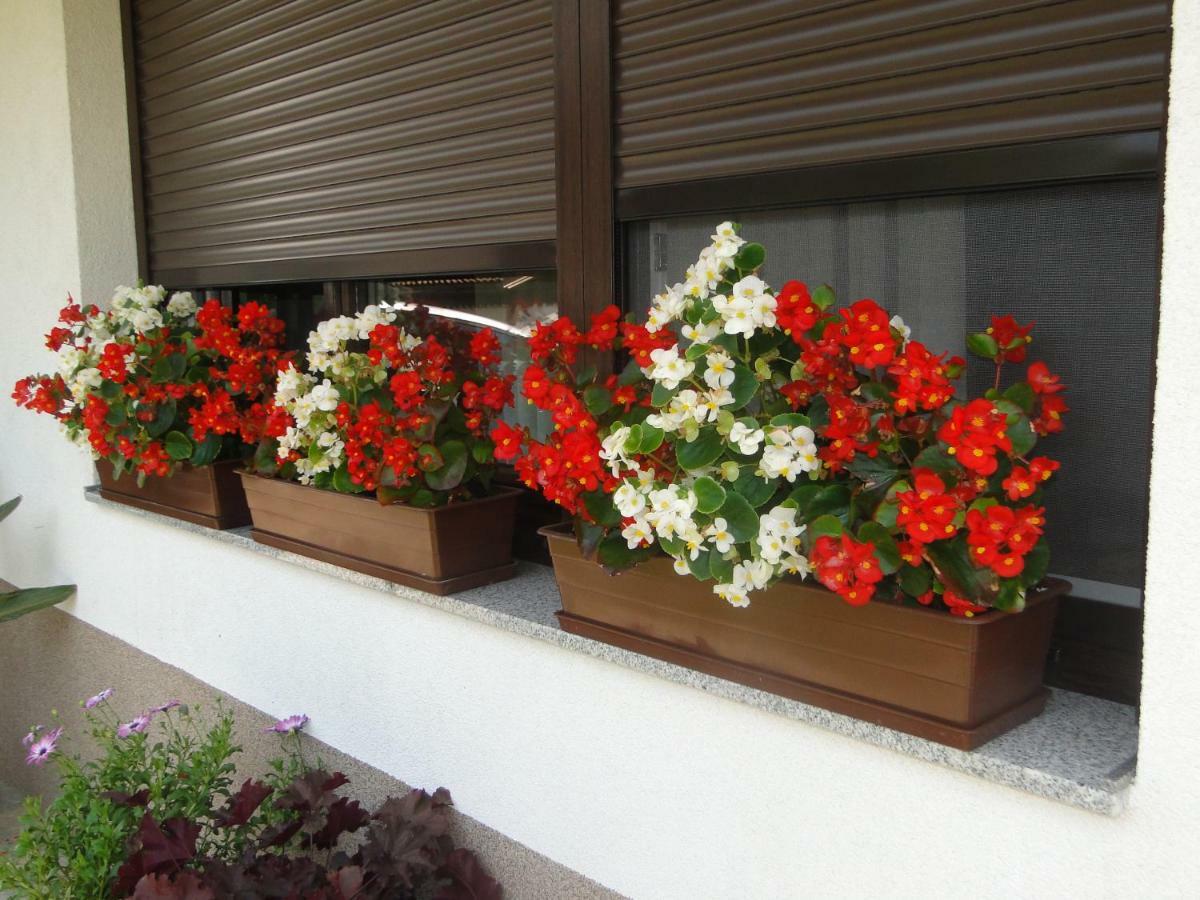 Apartma Jezero Most Na Soci Exterior photo
